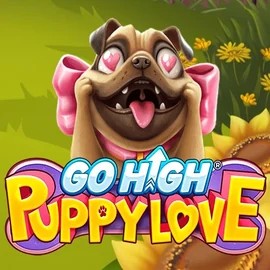 Go High Puppy Love online game logo by RubyPlay on casinospindogs.uk